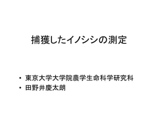捕獲したイノシシの測定

• 東京大学大学院農学生命科学研究科
• 田野井慶太朗

 