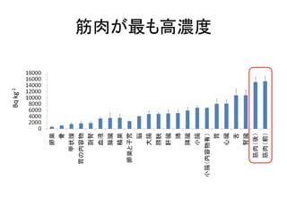 Bq kg-1

筋肉が最も高濃度

 