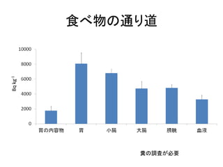Bq kg-1

食べ物の通り道

糞の調査が必要

 