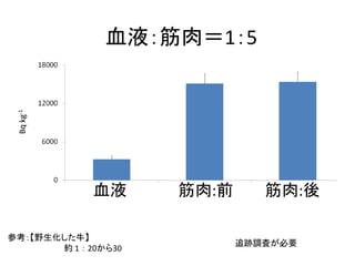 Bq kg-1

血液：筋肉＝1：5

血液
参考：【野生化した牛】
約 1 ： 20から30

筋肉:前

筋肉:後
追跡調査が必要

 