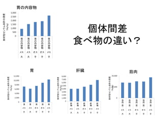 胃の内容物

個体間差
食べ物の違い？
胃

肝臓

筋肉

 