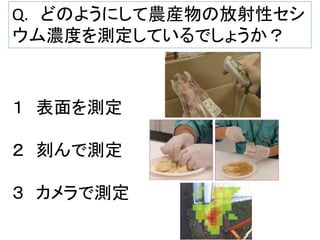 Q. どのようにして農産物の放射性セシ
ウム濃度を測定しているでしょうか？

１ 表面を測定
２ 刻んで測定

３ カメラで測定

 
