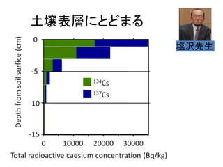 土壌表層にとどまる
塩沢先生

 