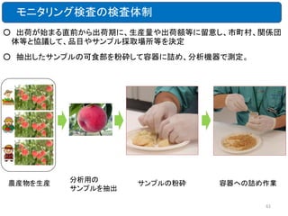 モニタリング検査の検査体制
○ 出荷が始まる直前から出荷期に、生産量や出荷額等に留意し、市町村、関係団
体等と協議して、品目やサンプル採取場所等を決定
○ 抽出したサンプルの可食部を粉砕して容器に詰め、分析機器で測定。

農産物を生産

分析用の
サンプルを抽出

サンプルの粉砕

容器への詰め作業
61

 