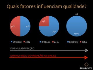 Quais	
  fatores	
  inﬂuenciam	
  qualidade?	
  
0%	
  
25%	
  
50%	
  

50%	
  
75%	
  

Britânico	
  

Zebu	
  

Britânico	
  

Zebu	
  

DIMINUI	
  ADAPTAÇÃO	
  
DIMINUI	
  RISCO	
  DE	
  VARIAÇÃO	
  NA	
  MACIEZ	
  

100%	
  
Britânico	
  

Zebu	
  

 