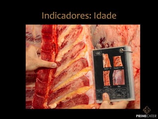 Indicadores:	
  Idade	
  

 