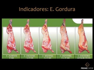 Indicadores:	
  E.	
  Gordura	
  

 