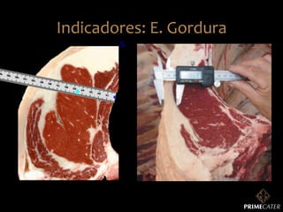 Indicadores:	
  E.	
  Gordura	
  

 