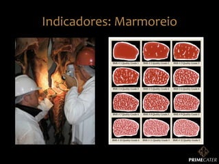 Indicadores:	
  Marmoreio	
  

 