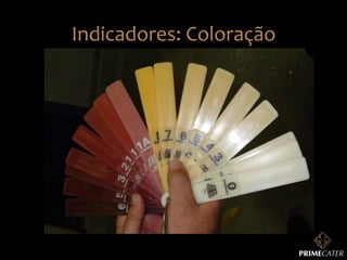 Indicadores:	
  Coloração	
  

 