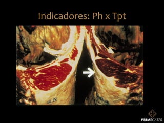 Indicadores:	
  Ph	
  x	
  Tpt	
  

 