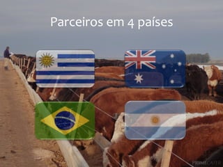 Parceiros	
  em	
  4	
  países	
  

 