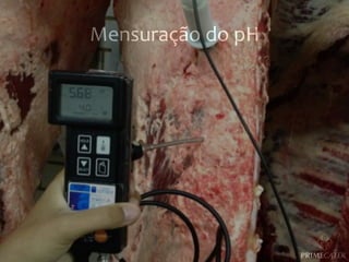 Mensuração	
  do	
  pH	
  

 