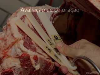 Avaliação	
  de	
  coloração	
  

 