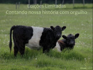 Edições	
  Limitadas	
  
Contando	
  nossa	
  história	
  com	
  orgulho	
  

 