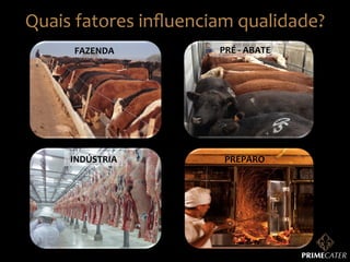 Quais	
  fatores	
  inﬂuenciam	
  qualidade?	
  
FAZENDA	
  

PRÉ	
  -­‐	
  ABATE	
  

INDÚSTRIA	
  

PREPARO	
  

 