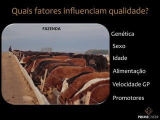 Quais	
  fatores	
  inﬂuenciam	
  qualidade?	
  
FAZENDA	
  

Genética	
  
Sexo	
  
Idade	
  
Alimentação	
  
Velocidade	
  GP	
  
Promotores	
  

 