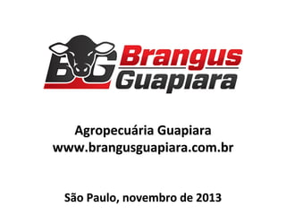 Agropecuária	
  Guapiara	
  
www.brangusguapiara.com.br	
  
	
  
	
  
São	
  Paulo,	
  novembro	
  de	
  2013	
  

 