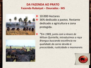DA	
  FAZENDA	
  AO	
  PRATO	
  

Fazenda	
  Rubaiyat	
  –	
  Dourados	
  -­‐	
  MS	
  
!   10.000	
  Hectares	
  
!   36%	
  dedicado	
  a	
  pastos.	
  Restante	
  
dedicado	
  a	
  agricultura	
  e	
  zona	
  
protegida.	
  
!   “Em	
  1989,	
  junto	
  com	
  a	
  Anore	
  de	
  
Wilson	
  Quintella,	
  introduzimos	
  a	
  raça	
  
Brangus	
  buscando	
  excelência	
  na	
  
qualidade	
  da	
  carne	
  devido	
  à	
  
precocidade,	
  rusCcidade	
  e	
  marmoreio.	
  

 