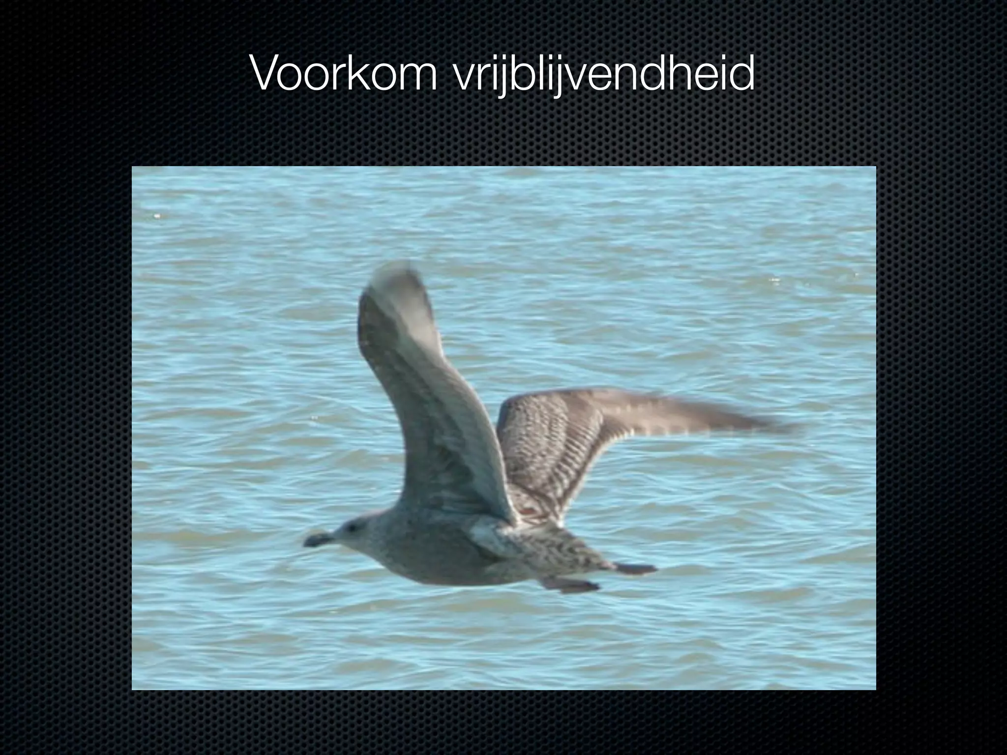 Voorkom vrijblijvendheid

 