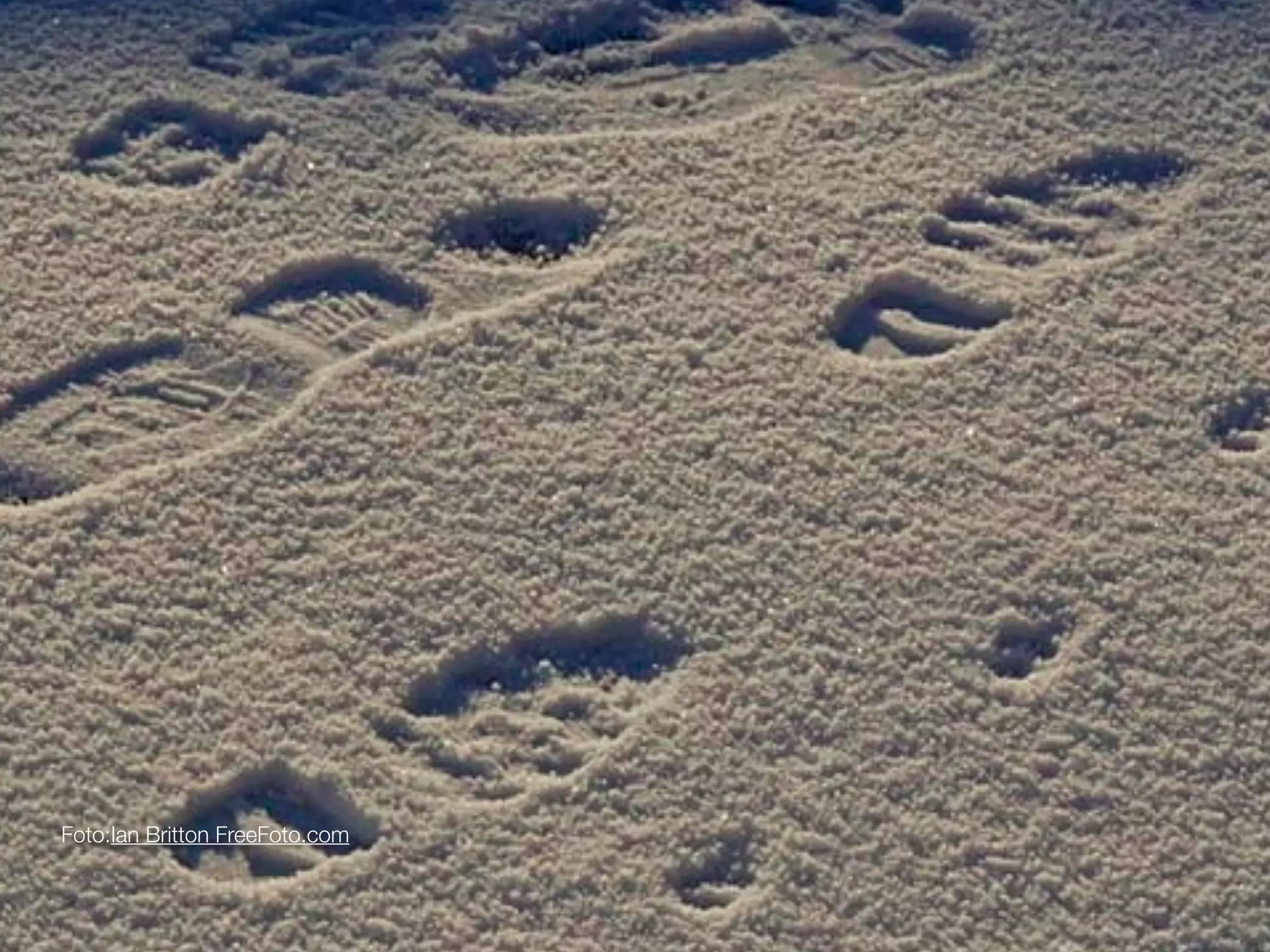 Foto:Ian Britton FreeFoto.com

 