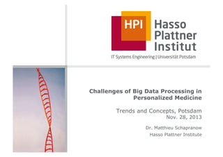 Challenges of Big Data Processing in
Personalized Medicine
Trends and Concepts, Potsdam
Nov. 28, 2013

Dr. Matthieu Schapranow
Hasso Plattner Institute

 