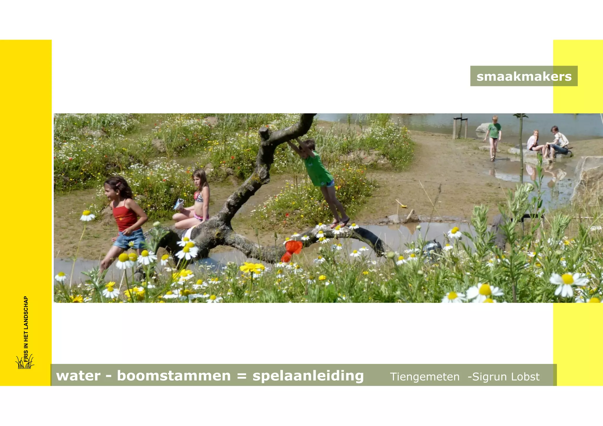 FRIS IN HET LANDSCHAP

smaakmakers

water - boomstammen = spelaanleiding

Tiengemeten -Sigrun Lobst

 