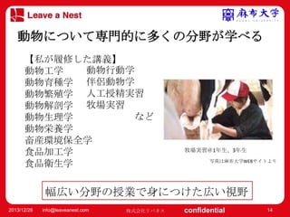 マスター タイトルの書式設定
動物について専門的に多くの分野が学べる
• 【私が履修した講義】
マスター テキストの書式設定
動物行動学
動物工学
– 第 2 レベル
動物育種学 伴侶動物学
• 第3
人工授精実習
動物繁殖学レベル
– 第 牧場実習
動物解剖学 4 レベル
動物生理学 » 第 5 レベル など
動物栄養学
畜産環境保全学
食品加工学
食品衛生学

牧場実習＠1年生、3年生
写真は麻布大学WEBサイトより

幅広い分野の授業で身につけた広い視野
2013/12/26

info@leaveanest.com

株式会社リバネス

confidential

14

 