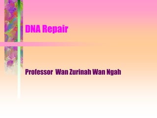 DNA Repair



Professor Wan Zurinah Wan Ngah
 