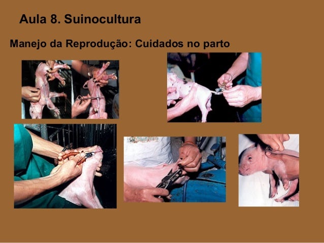 Quando a pessoa come torna-se esbelto um pouco
