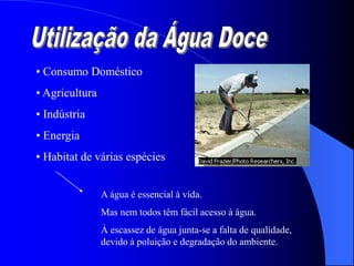 • Consumo Doméstico
• Agricultura
• Indústria
• Energia
• Habitat de várias espécies
A água é essencial à vida.
Mas nem todos têm fácil acesso à água.
À escassez de água junta-se a falta de qualidade,
devido à poluição e degradação do ambiente.
 