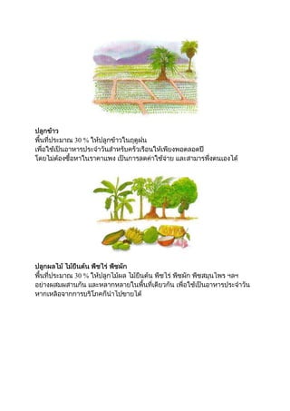 เกษตรตามแนว