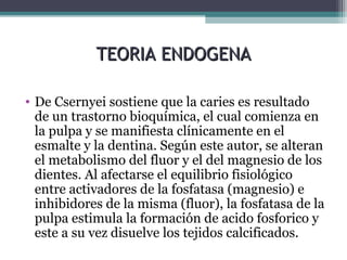 TEORIA ENDOGENATEORIA ENDOGENA
• De Csernyei sostiene que la caries es resultado
de un trastorno bioquímica, el cual comienza en
la pulpa y se manifiesta clínicamente en el
esmalte y la dentina. Según este autor, se alteran
el metabolismo del fluor y el del magnesio de los
dientes. Al afectarse el equilibrio fisiológico
entre activadores de la fosfatasa (magnesio) e
inhibidores de la misma (fluor), la fosfatasa de la
pulpa estimula la formación de acido fosforico y
este a su vez disuelve los tejidos calcificados.
 