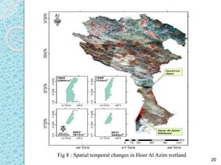 WETLAND MAPPING USING RS AND GIS | PPTX