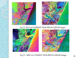 WETLAND MAPPING USING RS AND GIS | PPTX