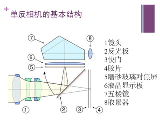 +
    单反相机的基本结构	



                   1镜头	
 
                   2反光板	
 
                   3快 	
 
                   4胶片	
 
                   5磨砂玻璃对焦屏	
 
                   6液晶显示板	
 
                   7五棱镜	
 
                   8取景器	
 
 