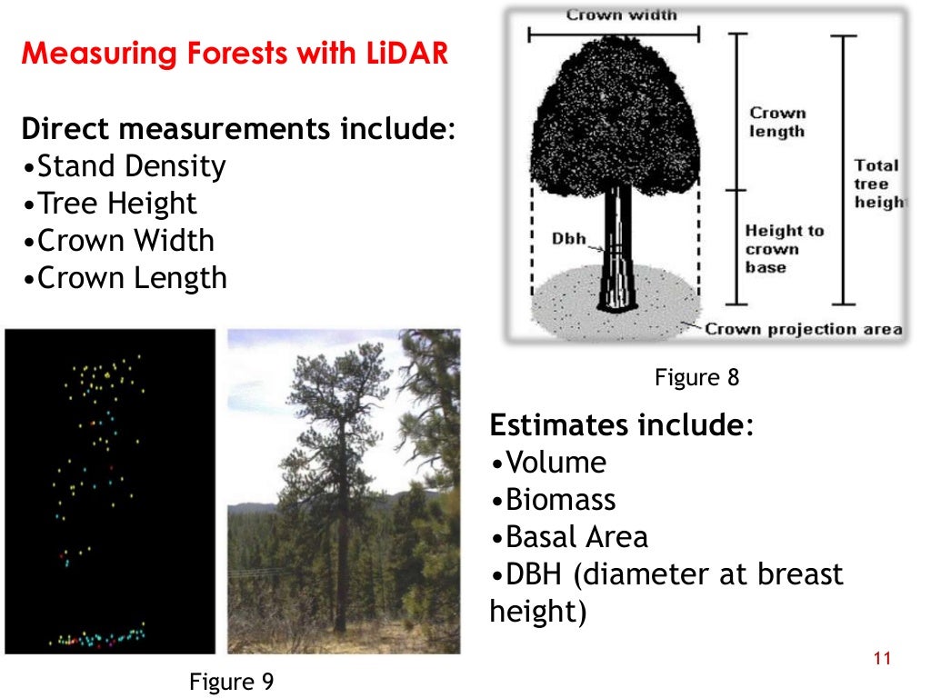 LIDAR TECHNOLOGY AND ITS APPLICATION ON FORESTRY
