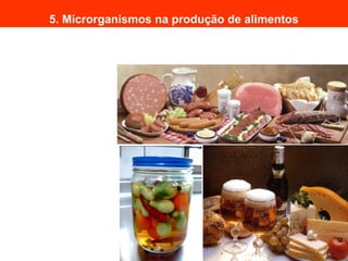5. Microrganismos na produção de alimentos
 