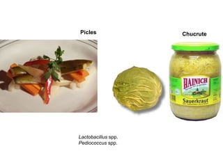 Picles
Lactobacillus spp.
Pediococcus spp.
Chucrute
 