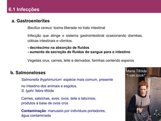 6.1 Infecções
a. Gastroenterites
Bacillus cereus: toxina liberada no trato intestinal
Infecção que atinge o sistema gastrointestinal ocasionando diarréias,
cólicas intestinais e vômitos.
- decréscimo na absorção de fluidos
- aumento da secreção de fluidos do sangue para o intestino
Vegetais crus, carnes, leite e derivados, farinhas contendo esporos
b. Salmoneloses
Salmonella thyphimurium: espécie mais comum, presente
no intestino dos animais e esgotos.
S. typhi: febre tifóide
Carnes, salsichas, aves, ovos, leite e laticínios,
produtos à base de ovos crús
Contaminação: manuseio por indivíduos portadores,
água contaminada
Maria Tifóide
"I can cook"
 