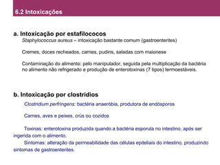 a. Intoxicação por estafilococos
Staphylococcus aureus – intoxicação bastante comum (gastroenterites)
Cremes, doces recheados, carnes, pudins, saladas com maionese
Contaminação do alimento: pelo manipulador, seguida pela multiplicação da bactéria
no alimento não refrigerado e produção de enterotoxinas (7 tipos) termoestáveis.
b. Intoxicação por clostrídios
Clostridium perfringens: bactéria anaeróbia, produtora de endósporos
Carnes, aves e peixes, crús ou cozidos
Toxinas: enterotoxina produzida quando a bactéria esporula no intestino, após ser
ingerida com o alimento.
Sintomas: alteração da permeabilidade das células epiteliais do intestino, produzindo
sintomas de gastroenterites.
6.2 Intoxicações
 