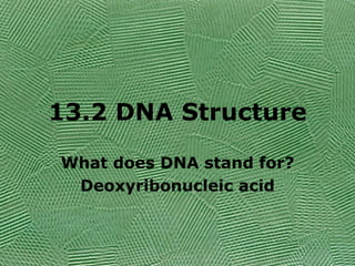 13.2 DNA Structure What does DNA stand for? Deoxyribonucleic acid 