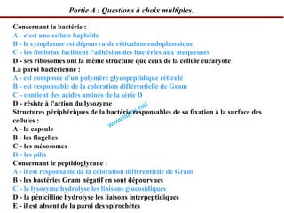 Concernant la bactérie :
A - c'est une cellule haploïde
B - le cytoplasme est dépourvu de réticulum endoplasmique
C - les fimbriae facilitent l'adhésion des bactéries aux muqueuses
D - ses ribosomes ont la même structure que ceux de la cellule eucaryote
La paroi bactérienne :
A - est composée d'un polymère glycopeptidique réticulé
B - est responsable de la coloration différentielle de Gram
C - contient des acides aminés de la série D
D - résiste à l'action du lysozyme
Structures périphériques de la bactérie responsables de sa fixation à la surface des
cellules :
A - la capsule
B - les flagelles
C - les mésosomes
D - les pilis
Concernant le peptidoglycane :
A - il est responsable de la coloration différentielle de Gram
B - les bactéries Gram négatif en sont dépourvues
C - le lysozyme hydrolyse les liaisons glucosidiques
D - la pénicilline hydrolyse les liaisons interpeptidiques
E - il est absent de la paroi des spirochètes
Partie A : Questions à choix multiples.
 