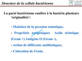 La paroi bactérienne confère à la bactérie plusieurs
«originalités»:
- Maintien de la pression osmotique,
- Propriétés antigéniques Acide téchoïque
(Gram +) Antigène O (Gram -),
- Action de différents antibiotiques,
- Coloration de Gram.
Structure de la cellule bactérienne
 