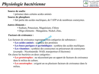 Source de soufre
• présence dans certains acides aminés
Source de phosphore
• fait partie des acides nucléiques, de l’ATP et de nombreux coenzymes.
Physiologie bactérienne
Autres éléments :
• Sodium, Potassium, Magnésium, Chlore
• Oligo-éléments : Manganèse, Nickel, Zinc,
Facteurs de croissance :
Les facteurs de croissance regroupent trois catégories de substances :
• Les acides aminés : synthèse des protéines
• Les bases puriques et pyrimidiques : synthèse des acides nucléiques
• Les vitamines : synthèse des coenzymes ou précurseurs de coenzymes
(exemple : Nicotinamide :NAD, transporteur d’électrons)
On classe les bactéries en deux catégories :
• Les prototrophes : ne nécessitent pas un apport de facteurs de croissance
dans le milieu de culture.
• Les auxotrophes : exigent un ou plusieurs facteurs de croissance dans le
milieu.
 