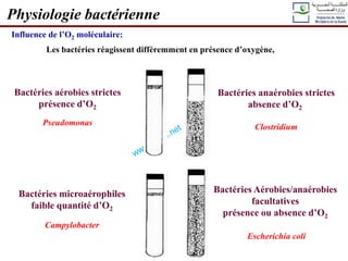 Influence de l’O2 moléculaire:
Les bactéries réagissent différemment en présence d’oxygène,
Physiologie bactérienne
Bactéries aérobies strictes
présence d’O2
Pseudomonas
Bactéries anaérobies strictes
absence d’O2
Clostridium
Bactéries Aérobies/anaérobies
facultatives
présence ou absence d’O2
Escherichia coli
Bactéries microaérophiles
faible quantité d’O2
Campylobacter
 