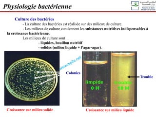 Culture des bactéries
- La culture des bactéries est réalisée sur des milieux de culture.
- Les milieux de culture contiennent les substances nutritives indispensables à
la croissance bactérienne.
Les milieux de culture sont
- liquides, bouillon nutritif
- solides (milieu liquide + l’agar-agar).
Physiologie bactérienne
Croissance sur milieu solide
Colonies
Croissance sur milieu liquide
Trouble
 