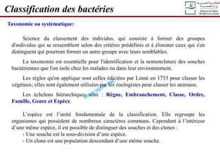 Science du classement des individus, qui consiste à former des groupes
d'individus qui se ressemblent selon des critères prédéfinis et à éliminer ceux qui s'en
distinguent qui pourront former un autre groupe avec leurs semblables.
La taxonomie est essentielle pour l'identification et la nomenclature des souches
bactériennes que l'on isole chez les malades ou dans leur environnement.
Les règles qu'on applique sont celles édictées par Linné en 1753 pour classer les
végétaux; elles sont également utilisées par les zoologistes pour classer les animaux.
Les échelons hiérarchiques sont : Règne, Embranchement, Classe, Ordre,
Famille, Genre et Espèce.
L’espèce est l’unité fondamentale de la classification. Elle regroupe les
organismes qui possèdent de nombreux caractères communs. Cependant à l’intérieur
d’une même espèce, il est possible de distinguer des souches et des clones :
- Une souche est la sous-division d’une espèce.
- Un clone est une population descendant d’une même souche.
Classification des bactéries
Taxonomie ou systématique:
 