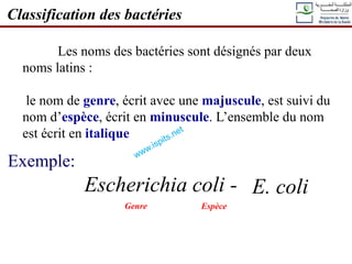 Exemple:
Escherichia coli -
Les noms des bactéries sont désignés par deux
noms latins :
le nom de genre, écrit avec une majuscule, est suivi du
nom d’espèce, écrit en minuscule. L’ensemble du nom
est écrit en italique
Genre Espèce
Classification des bactéries
E. coli
 