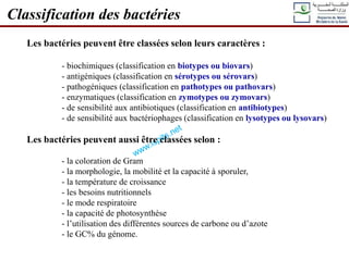 Les bactéries peuvent être classées selon leurs caractères :
- biochimiques (classification en biotypes ou biovars)
- antigéniques (classification en sérotypes ou sérovars)
- pathogéniques (classification en pathotypes ou pathovars)
- enzymatiques (classification en zymotypes ou zymovars)
- de sensibilité aux antibiotiques (classification en antibiotypes)
- de sensibilité aux bactériophages (classification en lysotypes ou lysovars)
Les bactéries peuvent aussi être classées selon :
- la coloration de Gram
- la morphologie, la mobilité et la capacité à sporuler,
- la température de croissance
- les besoins nutritionnels
- le mode respiratoire
- la capacité de photosynthèse
- l’utilisation des différentes sources de carbone ou d’azote
- le GC% du génome.
Classification des bactéries
 